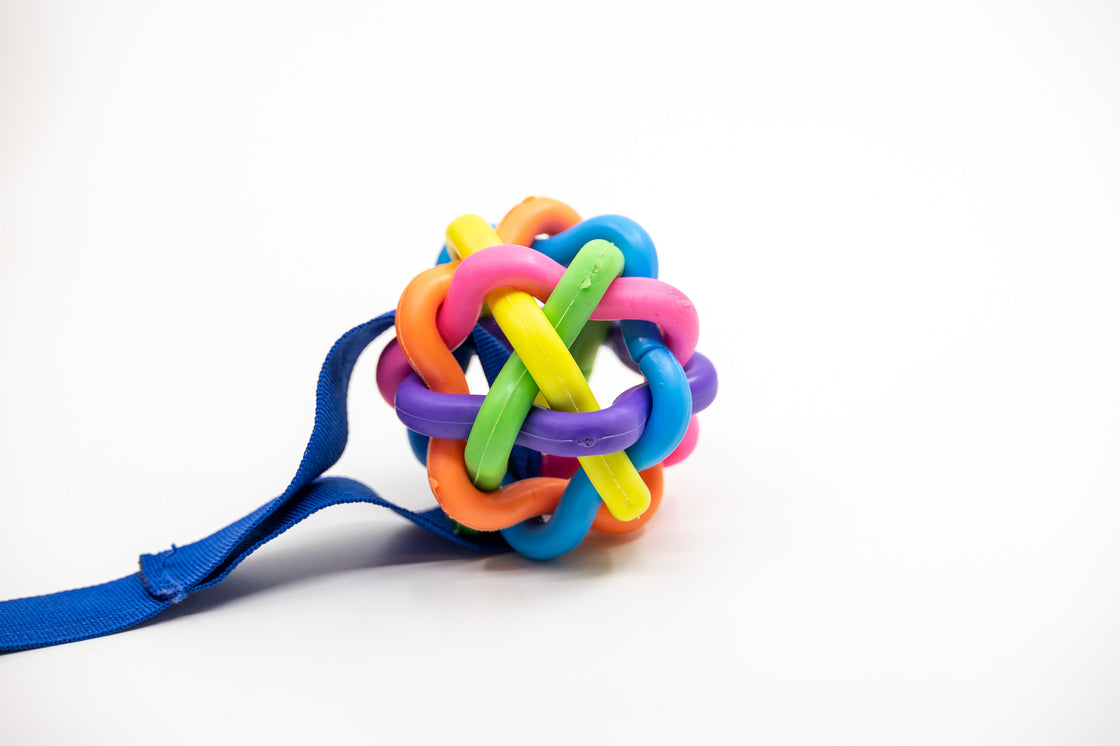 Close-up of colourful sensory ball attachment on sensory dog toy