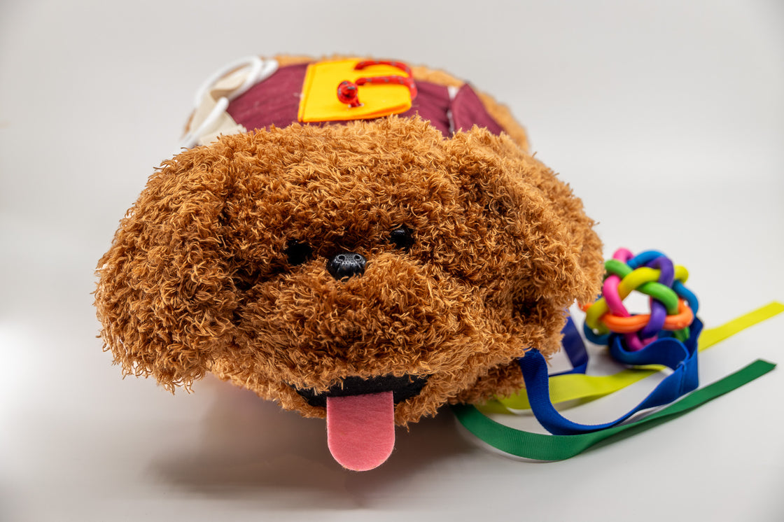 memory-and-me-sensory-dog-toy-front-face