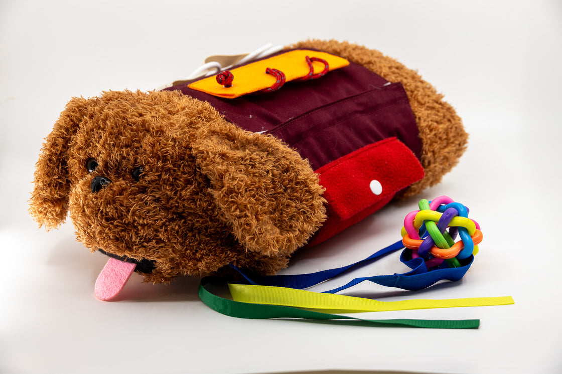 memory-and-me-sensory-dog-toy-hero-studio